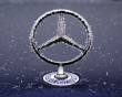 Sternfahrer