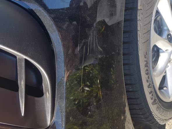 - (Auto, Lackieren, Autolack)